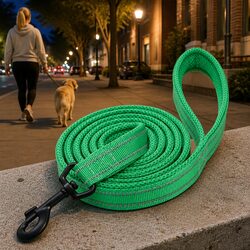 Reflective Dog Leash Lead 2m Nylon Mesh Padding Night Safety Walking XS