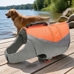 Your Dog's Safety First: Small Reflective Life Jacket