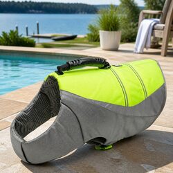 Choose This Friendly Dog Life Jacket for Swimming Safety