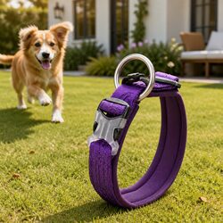 Your Puppy’s Small Purple Collar for Adventures
