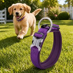 Purple Dog Collar M Active Puppy Lead Attachment Reflective Pet Neck Strap