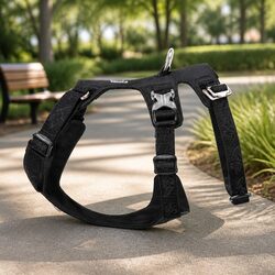 Friendly Adjustable Dog Harness for All-Weather Use