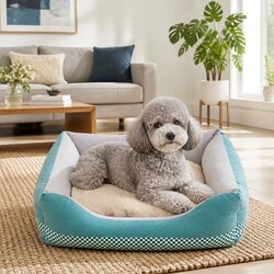 Friendly Medium Dog Bed: Perfect for Your Furry Companion