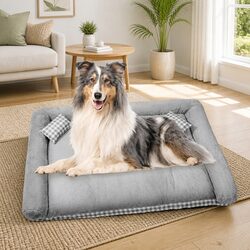 Your Pet’s New Favorite Spot: Deluxe Dog Bed