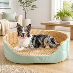 A Cozy and Stylish Bed for Your Beloved Pet