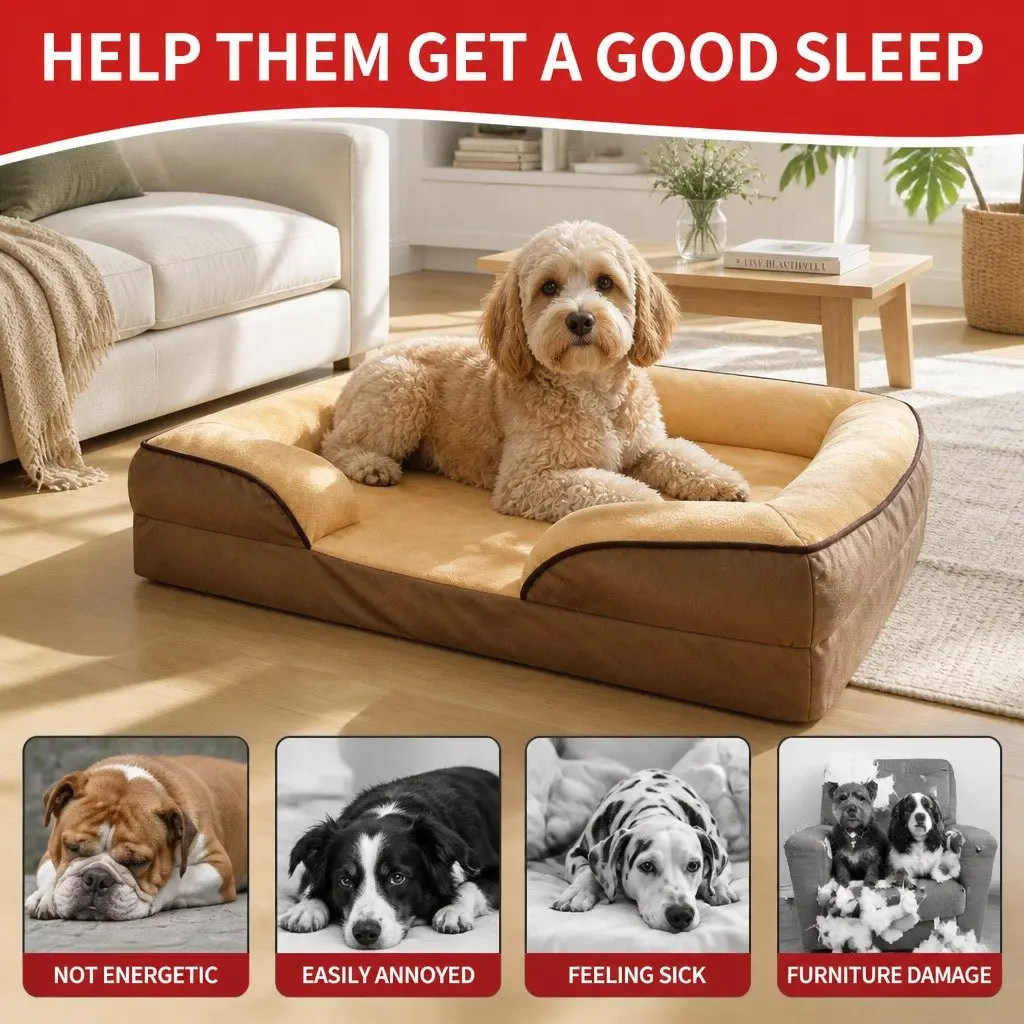 Dog Sofa Bed Thickened Sponge Cushion 60x50x17cm Detachable Washable Cover