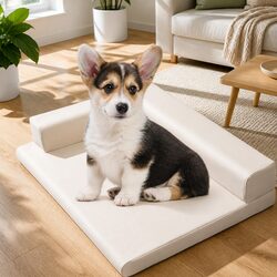 Welcome Comfort with the ErgoProtect Dog Bed