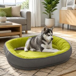 Your Pet's New Favorite Spot: Cozy Dog Bed