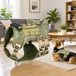 Your Ideal Puppy Harness Set for Active Dogs - Green