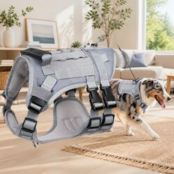 Friendly Dog Harness for Comfortable Outdoor Adventures