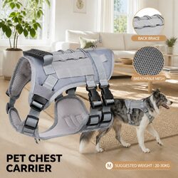 Your Ideal Adjustable Dog Harness Vest for Walking