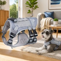 User-Friendly Harness for Small Dogs and Cats