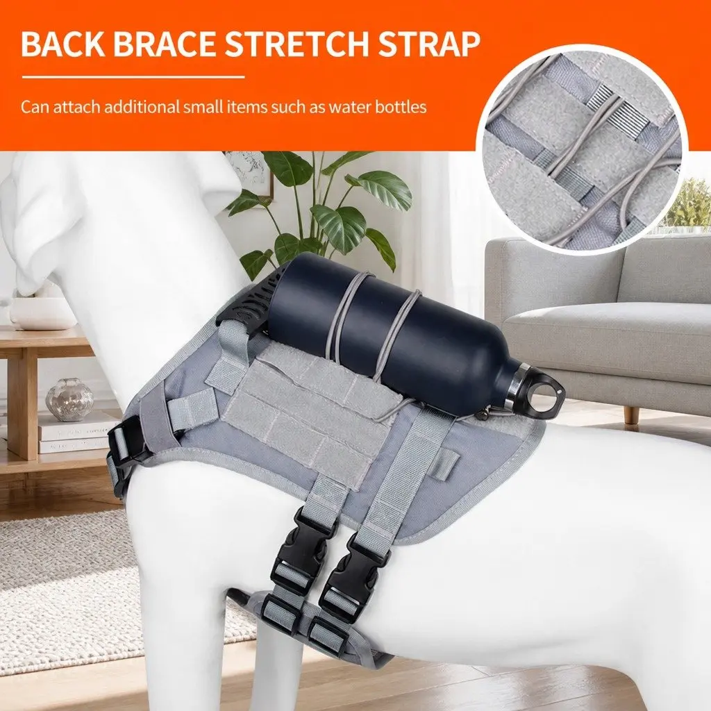 Small Dog Cat Vest Harness Leads Walking Leash Mesh Clothes Collar Pet Accessory