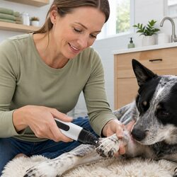 Your Pet's Nail Grooming Made Easy
