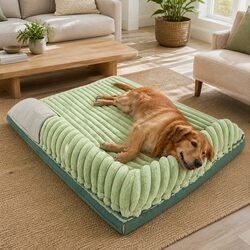 Your Pet's Green Striped Velvet Bed: Comfort and Convenience